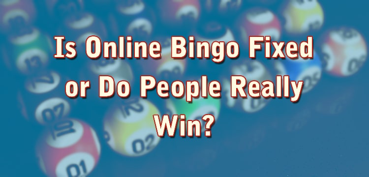 Is Online Bingo Fixed or Do People Really Win?